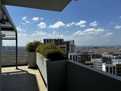 sky-habitat photo thumbnail #9